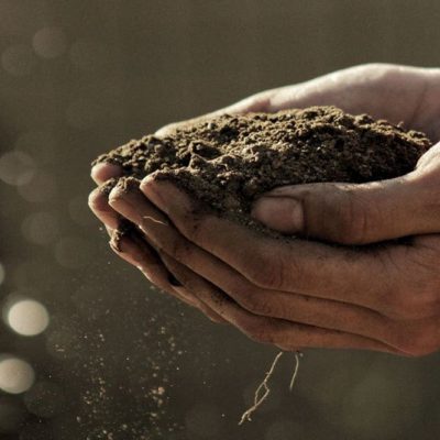 Hands holding earth