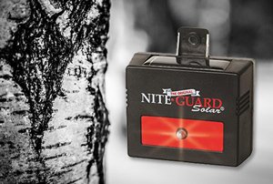 Nite Guard Storage in Winter