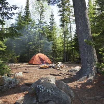Keeping Your Campsite Protected Against Wild Animals thumbnail