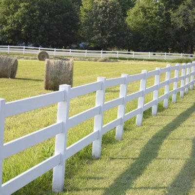 Four Ways to Keep Animals From Eating Your Fall Harvest thumbnail