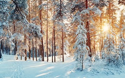 How Snow and Ice Affect Nite Guard Products thumbnail