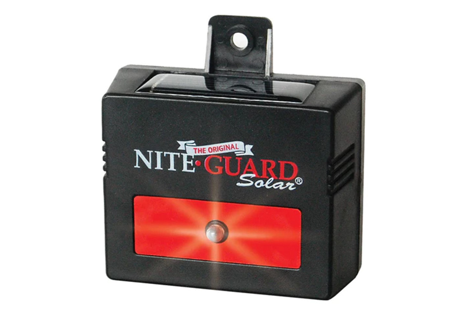 Nite Guard Solar