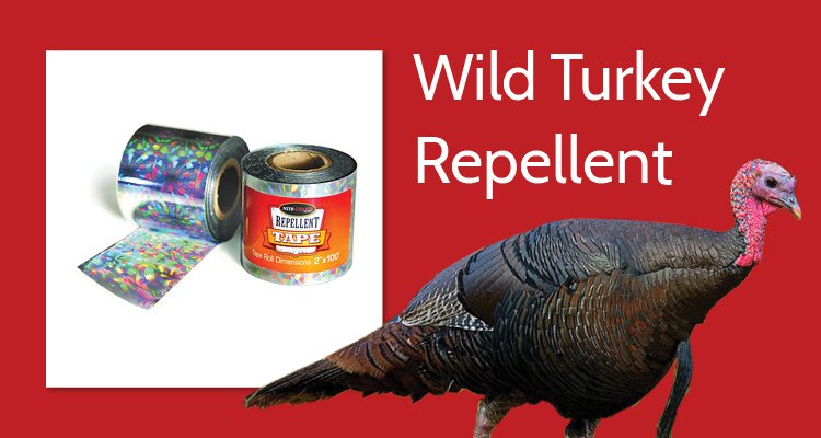 Wild Turkey Repellent Header Image: Tape to Deter Turkeys