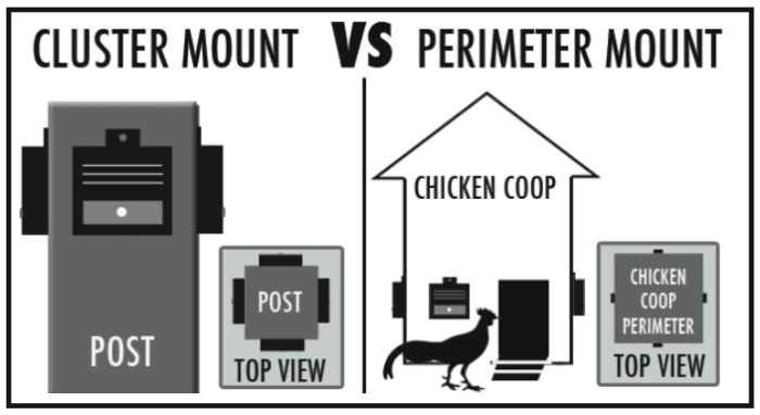 How to Protect Chickens From Coyote | Nite Guard